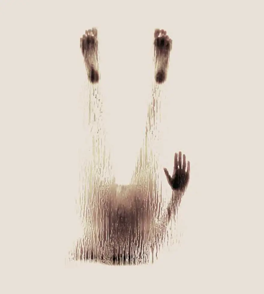 V 21