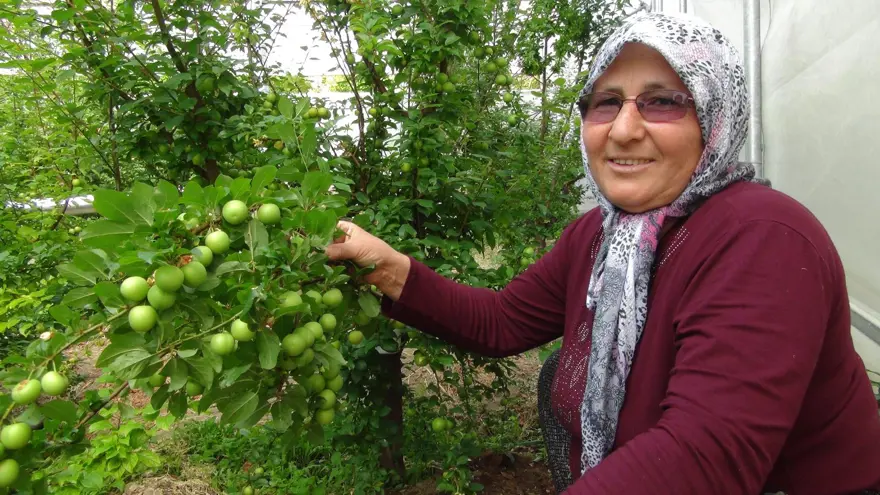 Kilosu 8 bin TL'den satılıyordu: Fiyatı 400 TL'ye kadar düştü 5