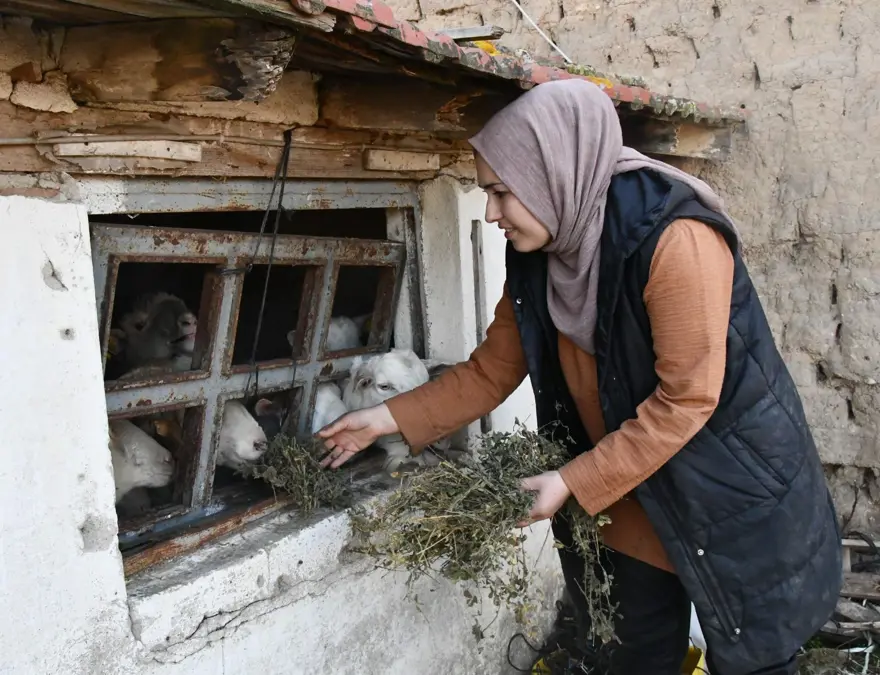 2 çocuk annesi Gülizar devlet desteğiyle kurdu: 2 yılda sayıyı 12'ye çıkardı 