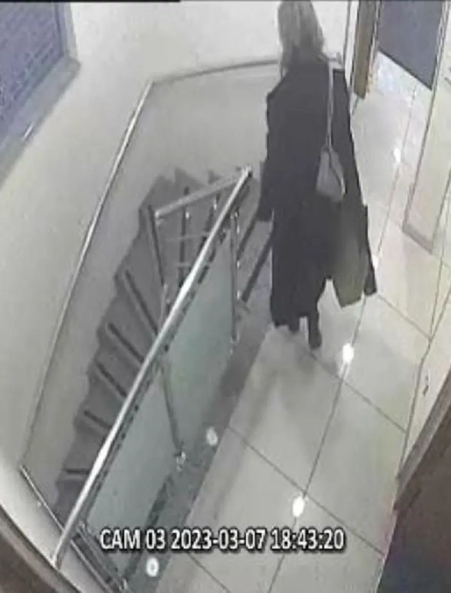 Seçil Erzan Davası | Mesajlar tek tek ortaya çıkıyor: Şaka mı yapıyorsun Şeçil hanım? 2