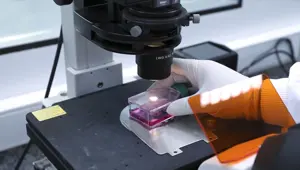 'Evlilik öncesi SMA testi yapılsın' önerisi 'Evlilik öncesi SMA testi yapılsın' önerisi