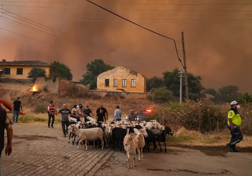 Ödemiş'te kahreden fotoğraflar: Alevlerden kaçış 11 Ödemiş'te kahreden fotoğraflar: Alevlerden kaçış 11