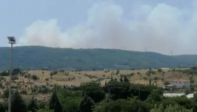 İzmir'de orman yangını