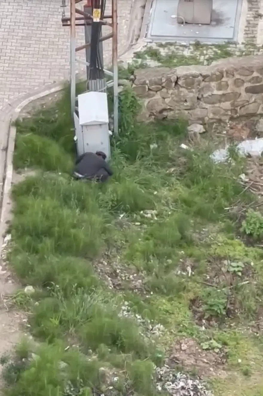 Trabzon’davahşet: Yavru kediyi ezerek öldürdü, defalarca tekmeleyip fırlattı 3