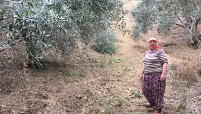 Günlük 3 bin liraya çalışacak işçi bulamıyorlar: "Bir gün gelen bir daha gelmiyor"