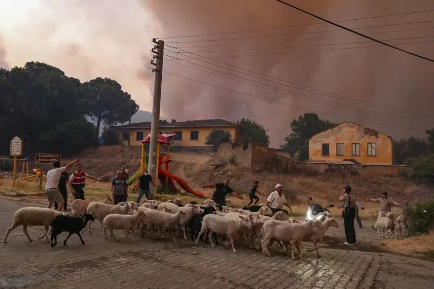 Ödemiş'te kahreden fotoğraflar: Alevlerden kaçış 10 Ödemiş'te kahreden fotoğraflar: Alevlerden kaçış 10