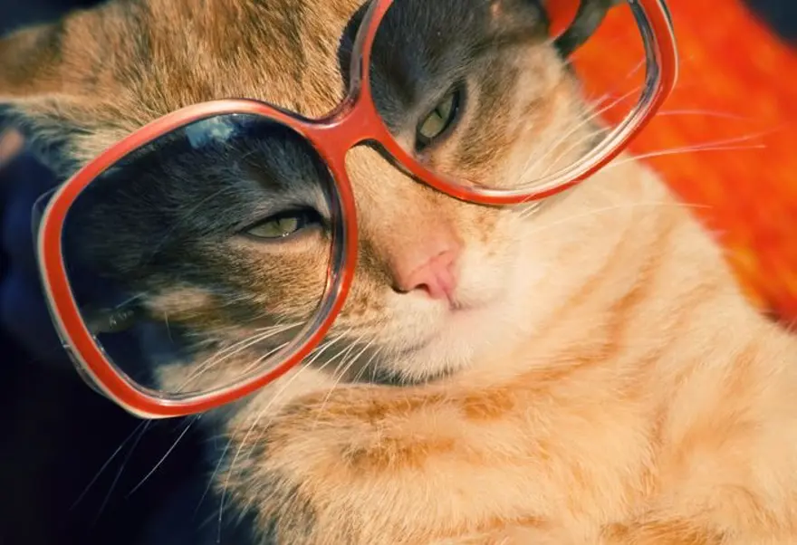 İnternetin yeni fenomenleri 38