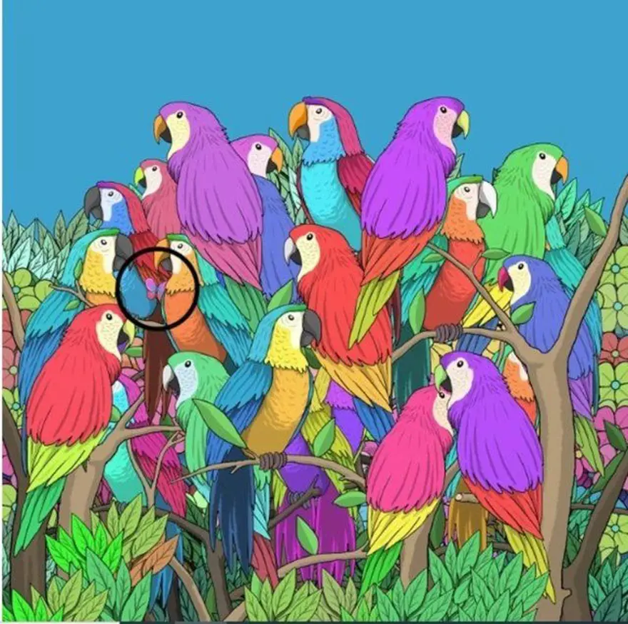 Kafa karıştıran zeka sorusu sosyal medyada gündem oldu: İnsanların yüzde 90'ı çözemiyor! 30 Kafa karıştıran zeka sorusu sosyal medyada gündem oldu: İnsanların yüzde 90'ı çözemiyor! 30