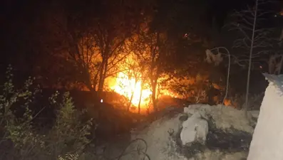 Malatya'da bahçe yangını