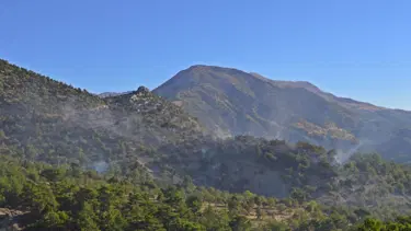Adıyaman'da orman yangını