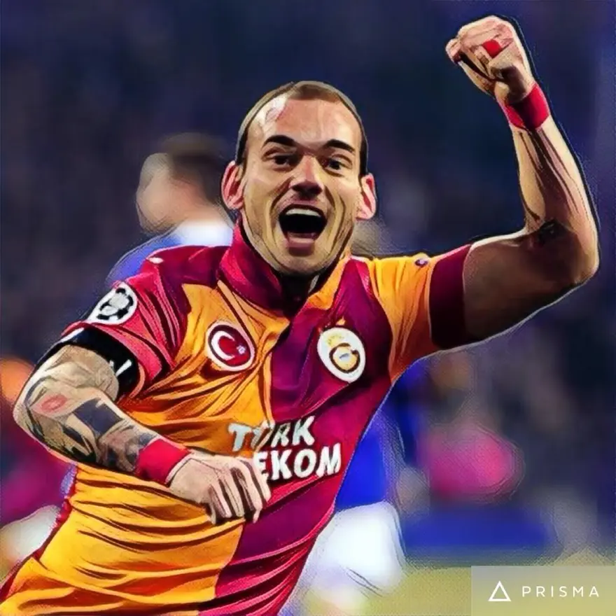WESLEY SNEIJDER 8