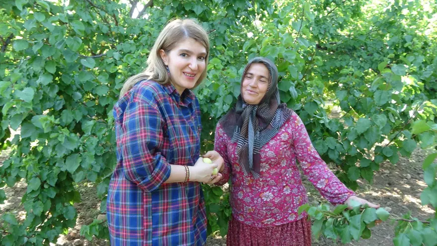 Dünyanın kayısı başkenti olarak biliniyor! Yeni dönem hasadı başladı 4