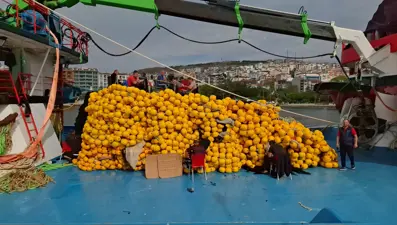 Fırtına sonrası limana sığındılar: Teknelerin bakımı yapılıyor