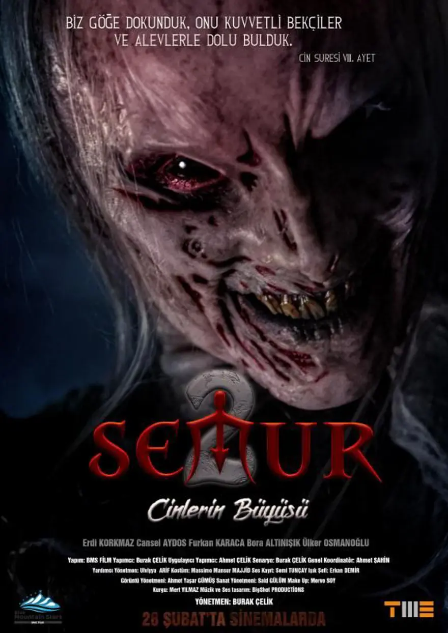 Sinemalarda yerli film rehberi (Şubat 2020) 11