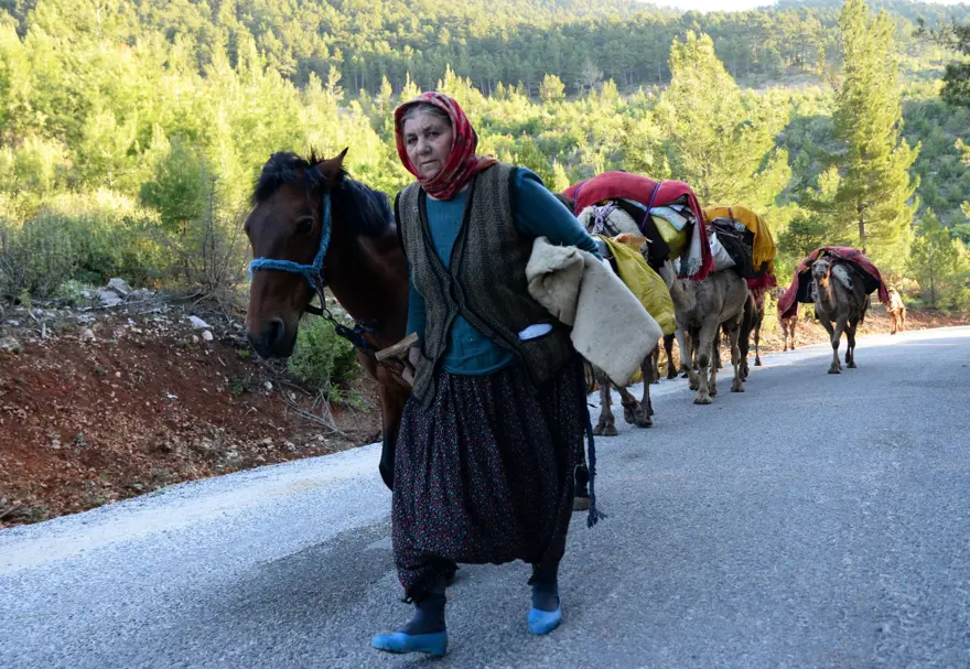 Yörüklerin 20 gün sürecek yaz göçü başladı 