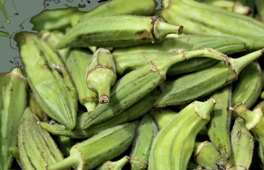 1 gece suda bekletip sabah aç karnına tüketin: Metabolizmayı hızlandırıp, zayıflatıyor 1
