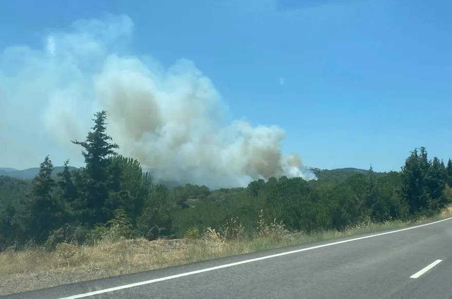 Balıkesir'de orman yangını 1 Balıkesir'de orman yangını 1