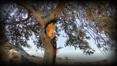 İçin için yanıyorlar