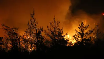 Aydın ve Muğla’daorman yangını: Alevlerle mücadele gece boyunca sürdü
