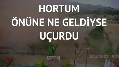 Baba ile kızının hortuma yakalandığı anlar
