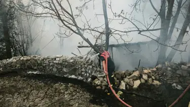 Kümesler yandı, 100 tavuk öldü