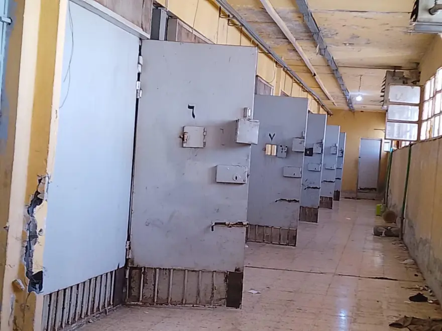 NTV ekibi Sednaya Hapishanesi'nde: Fotoğraflarla rejimin işkence merkezi! 3