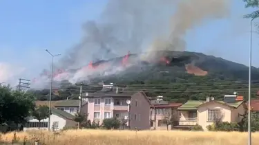 Tokat Niksar'da orman yangını