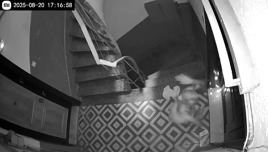 Terk edilen eski sevgili ortalığı birbirine kattı 3