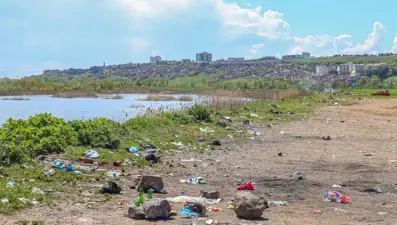 Piknikçiler Dicle Nehri kıyısını çöplüğe çevirdi: Su kuşlarıtehdit altında
