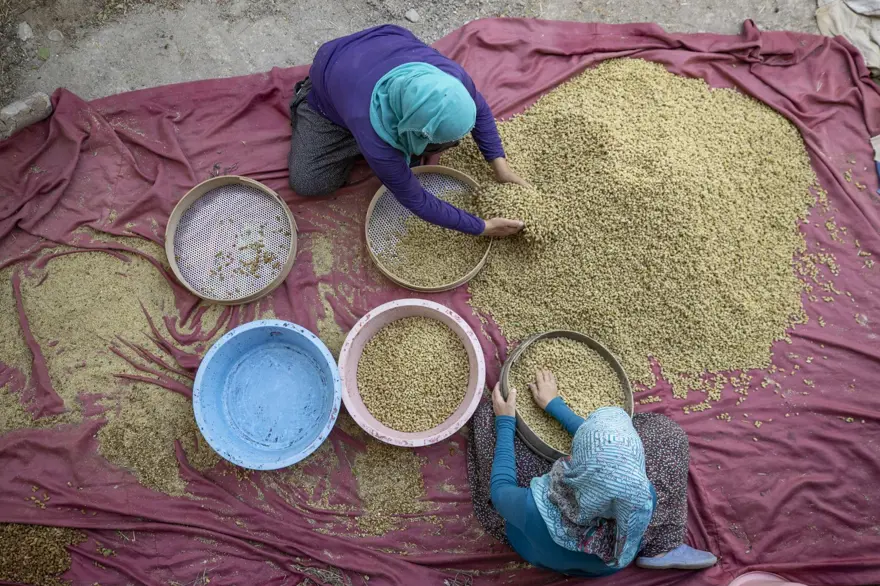 Coğrafi işaretli "Ulukale Dutu" geçim kaynağı oldu! Güneşin karşısında kurutuluyor, elekten geçirilerek hazırlanıyor 28