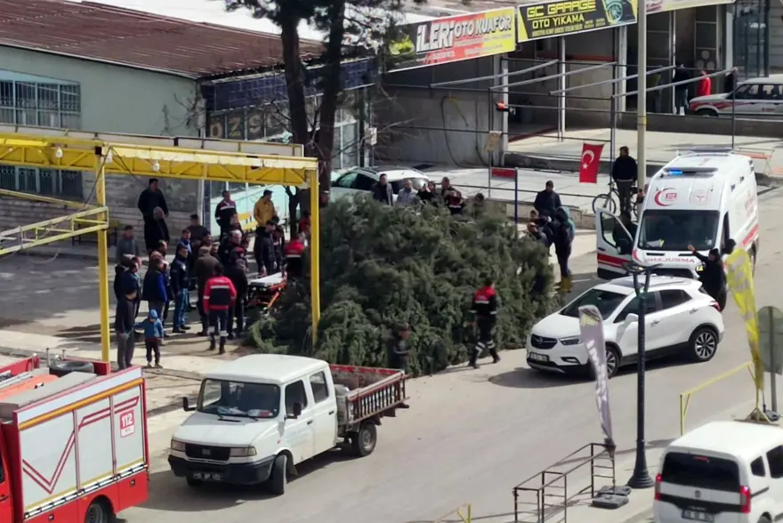 Seçimçalışmalarında kaza: Başkan adayının üzerine ağaç devrildi 1 Seçimçalışmalarında kaza: Başkan adayının üzerine ağaç devrildi 1