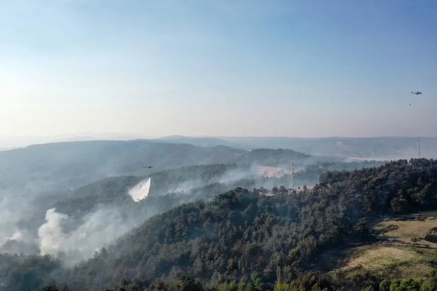Çanakkale'de orman yangını kontrol altında 42