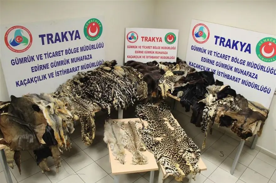 Kürkler X-Ray'e takıldı 10