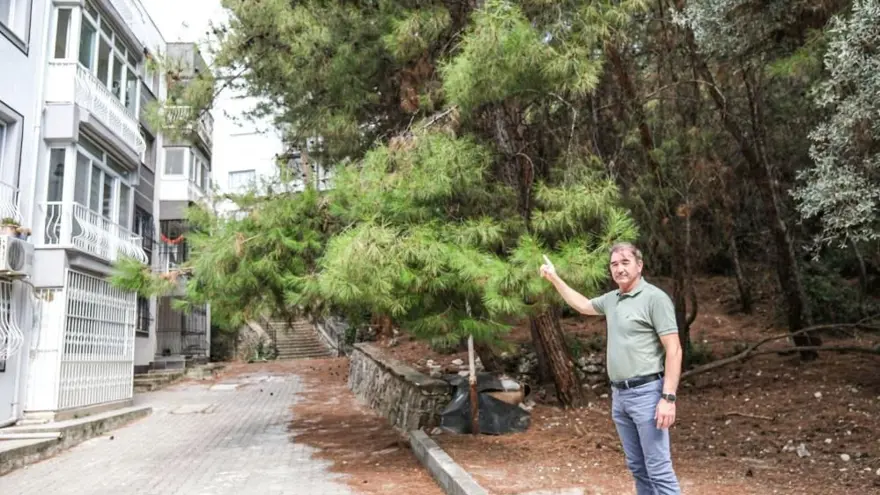 İzmir’de orman yangını korkusuyla yaşayan mahalle | “Geceleriuyuyamıyoruz” 4