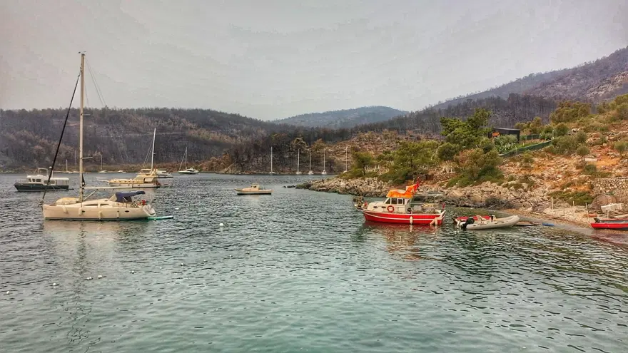 Bodrum ve Milas'ta yanan alanlar havadan görüntülendi 12 Bodrum ve Milas'ta yanan alanlar havadan görüntülendi 12