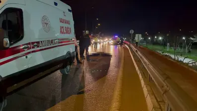 Bursa'da lodos can aldı