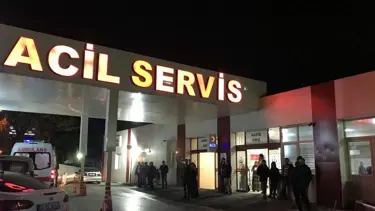 Sağlık Bakanlığı'ndan sahipsiz köpek adımı