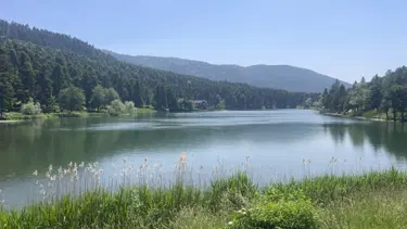 Bolu'nun milli parklarına ziyaretçi yağdı