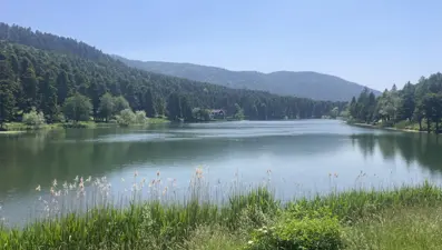 Bolu'nun milli parklarına ziyaretçi yağdı