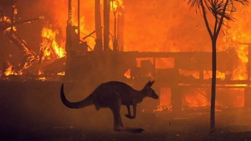 Avustralya'daki yangınlar 240 gün sonra söndü 9 Avustralya'daki yangınlar 240 gün sonra söndü 9