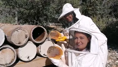 Tarihi karakovan balının hasadı yapıldı