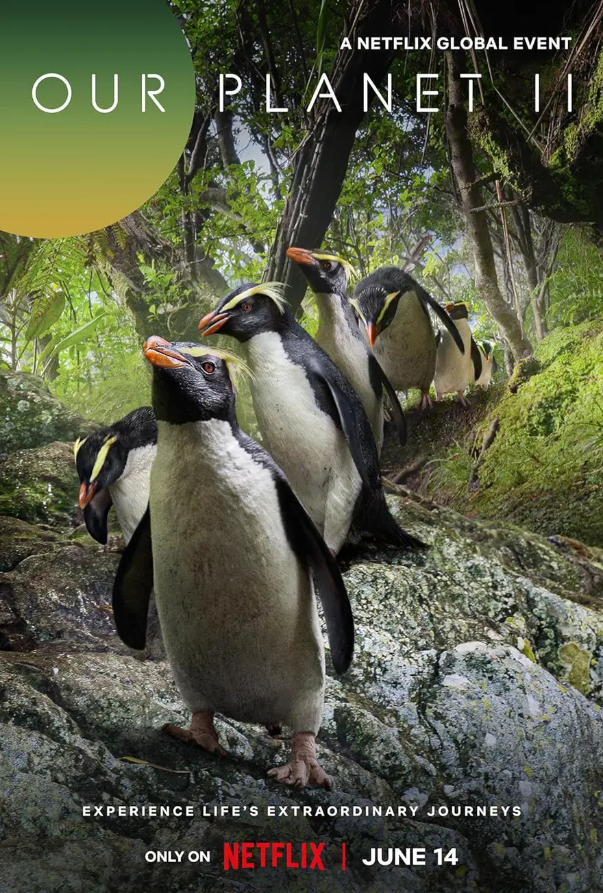 12. Our Planet 9.3 88