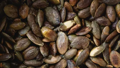 Kahvaltıda tüketince tam bir oyun değiştirici: Protein deposu, sindirim düzenleyici