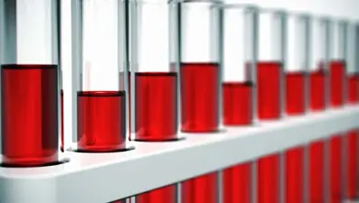 Bilim Kurulu Üyesi: Kan grubunun Covid-19'dan koruyucu bir yönü yok