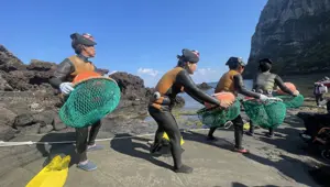 Güney Kore'nin deniz kadınları: Derin sularda yaşam mücadelesi