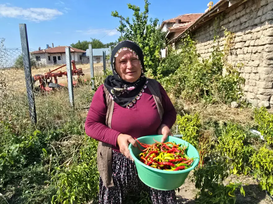 Geleneksel kış hazırlıkları başladı: Binbir emekle hazırlanıyor 