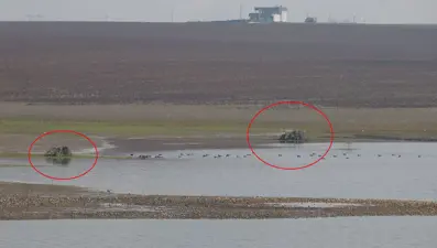 Kuş cennetinde ağaç kestiler; mevzi kurup, kuşları vurdular