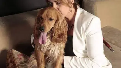 Hayvansever gazeteci yoğun bakımda: Can dostları sahiplendiriliyor