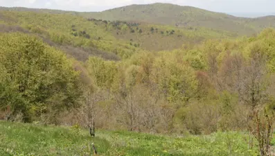 Bahar geldi: Doğanın güzelliği hayran bıraktı