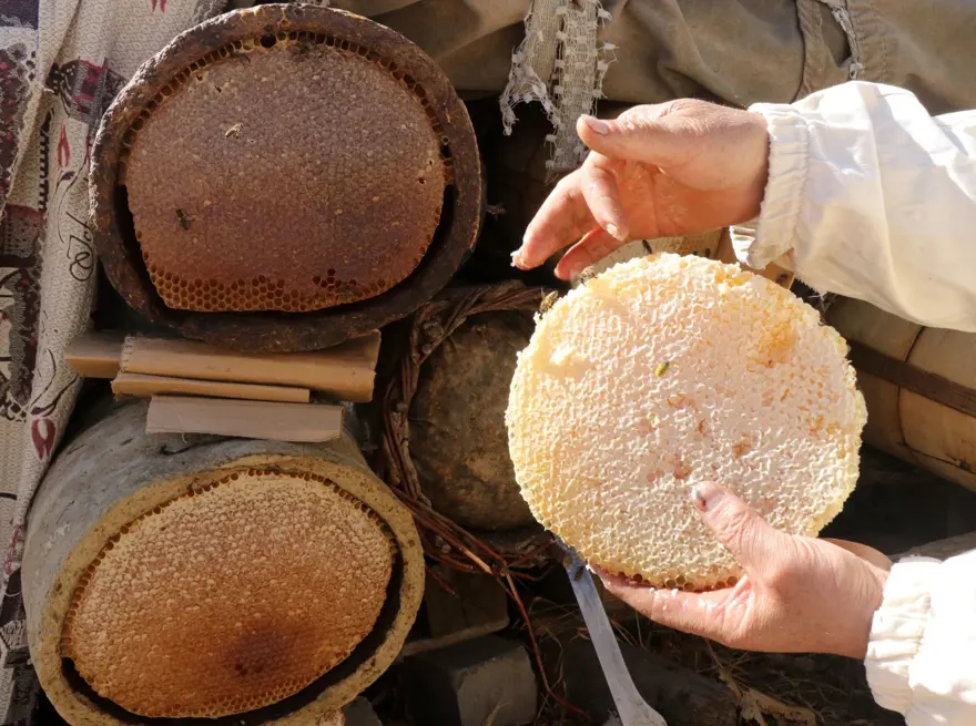 51 yaşında Ata toprağında 2,5 ton üretiyor: Ailesiyle yalnız yaşadığı köyde yapıyor 6